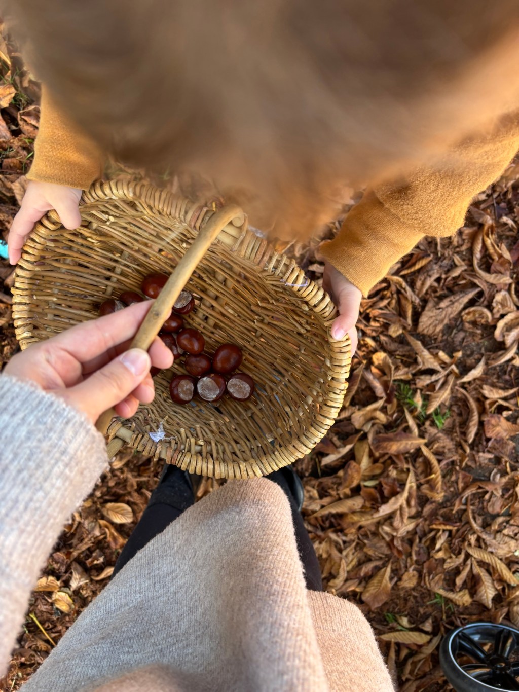 Vom Sommertrubel in den&nbsp;Herbstzauber