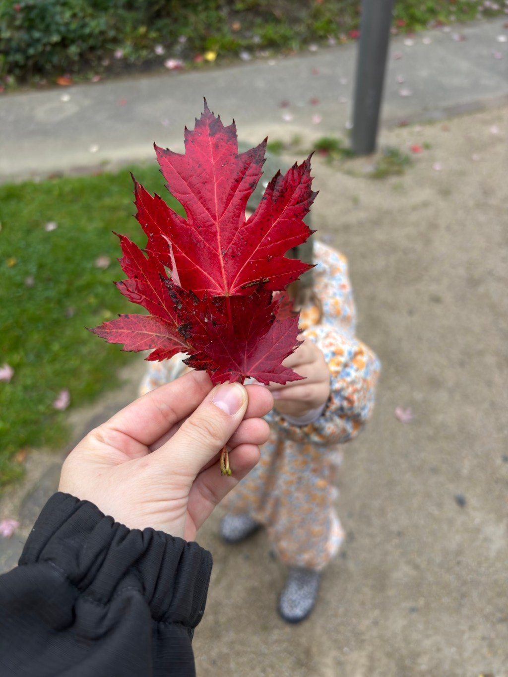 Sonntagsgold – meine Momente der Woche | neue Rubrik | Kapitel&nbsp;1